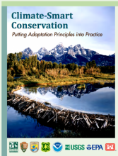 Climate-Smart Conservation: Putting Adaptation Principles into Practice